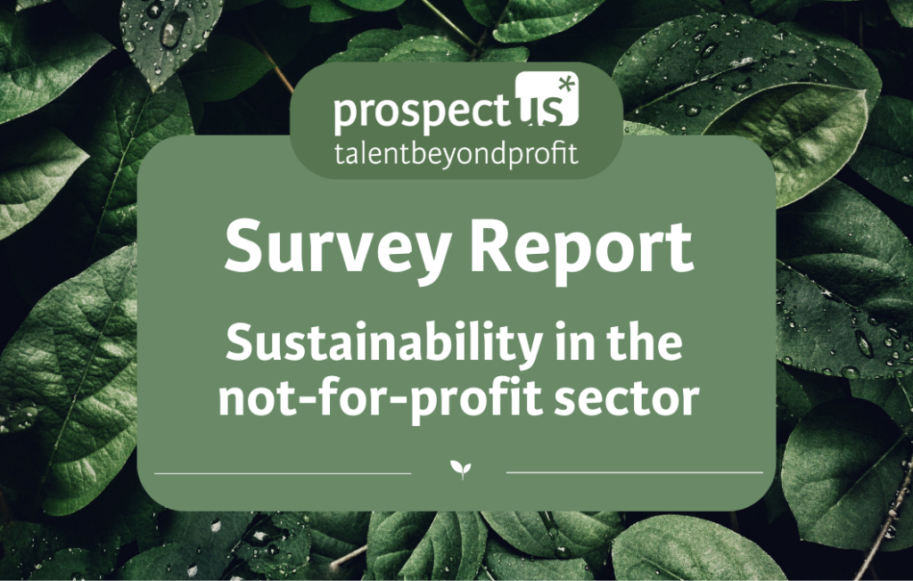 New size - Sustainability in the not-for-profit sector (1)