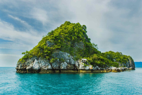 Blue Ventures Conservation