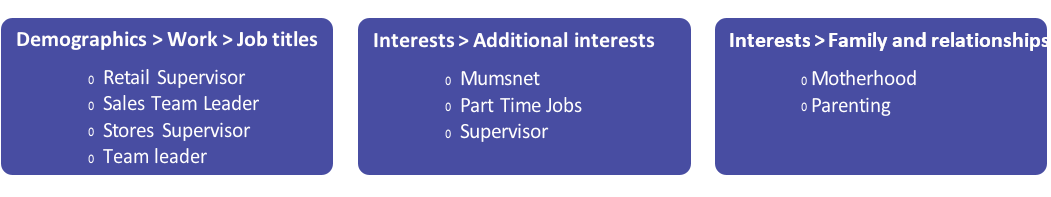 More information on the groups targeted including job titles and interests of target groups