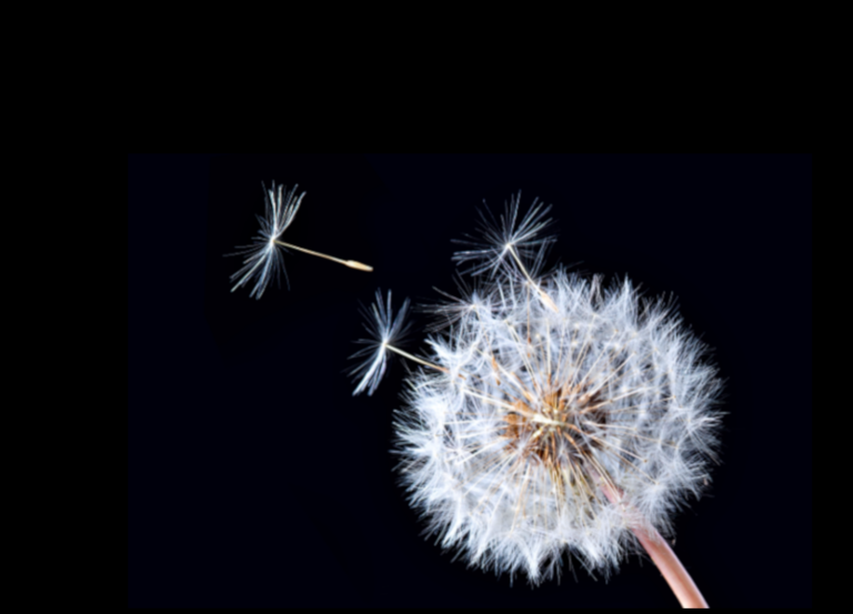 Why don’t more fundraisers transfer their experience into different beyond profit sectors?