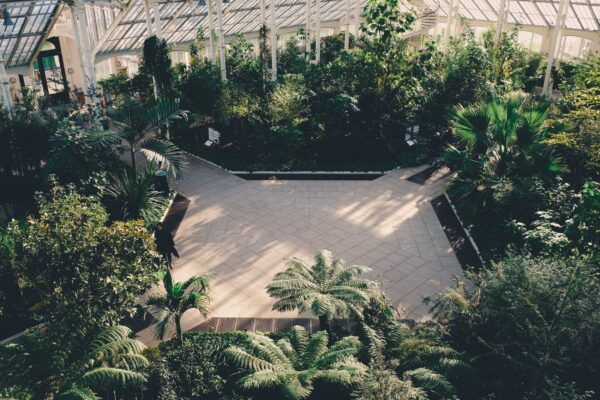 Royal Botanical  Gardens, Kew