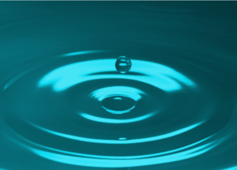 Trust, learn and achieve impact