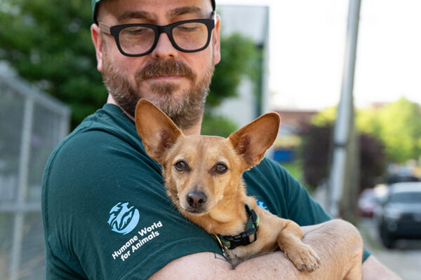 Humane World for Animals UK