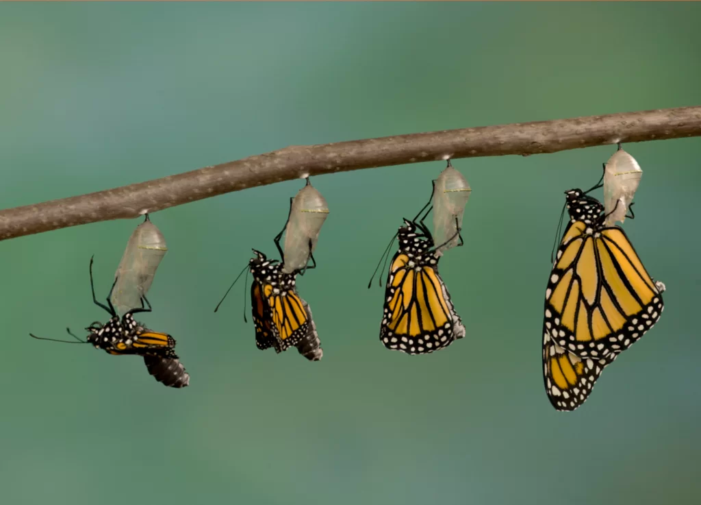 A perspective on special events - an Interview with Rebecca Elcome, Head of Events at Ark A-perspective-on-special-events-1500px