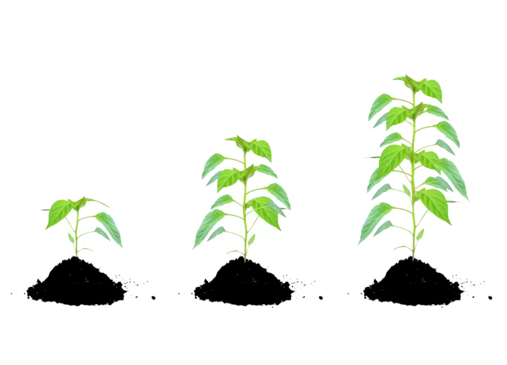 Building Great Beyond Profit Leadership Teams Why-is-it-important-to-invest-in-your-board-1500px