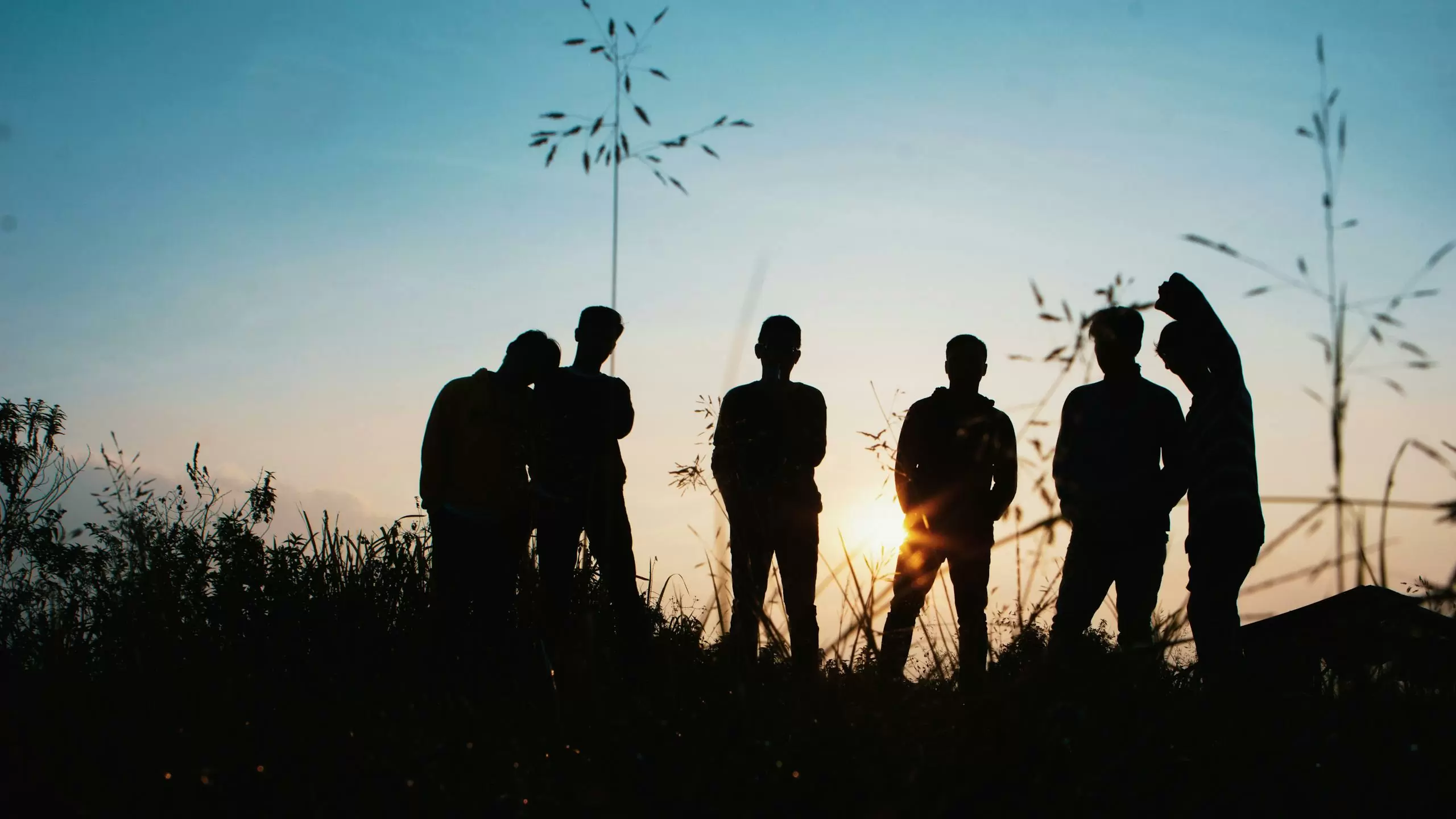 Silhouette Group of People Standing on Grass Field